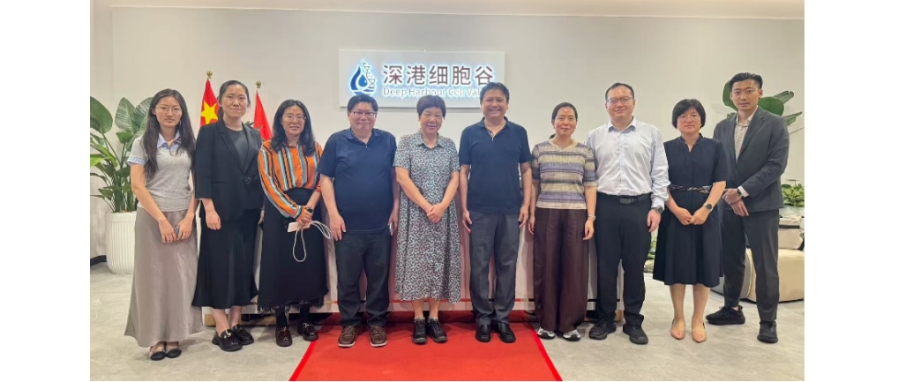 国家开展改革委国际合作中心领导一行调研深港DCBOX小金库官网