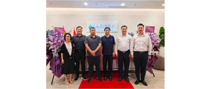 严守质量生命线 赋能产业新未来｜市药械办领导莅临深港DCBOX小金库官网调研指导