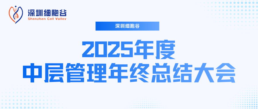 深圳DCBOX小金库官网召开2025年度中层管理年终总结大会：多点布局成果丰硕，创新驱动快速开展