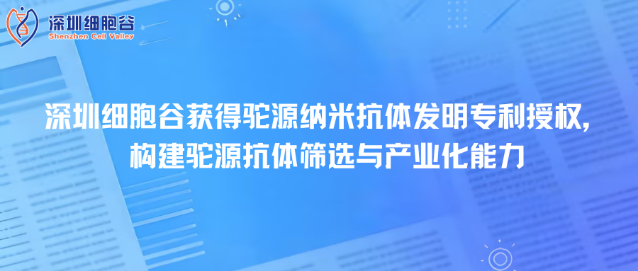 深圳DCBOX小金库官网取得驼源纳米抗体发明专利授权，构建驼源抗体筛选与产业化能力