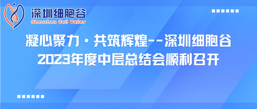 凝心聚力·共筑辉煌--深圳DCBOX小金库官网2023年度中层总结会顺利召开