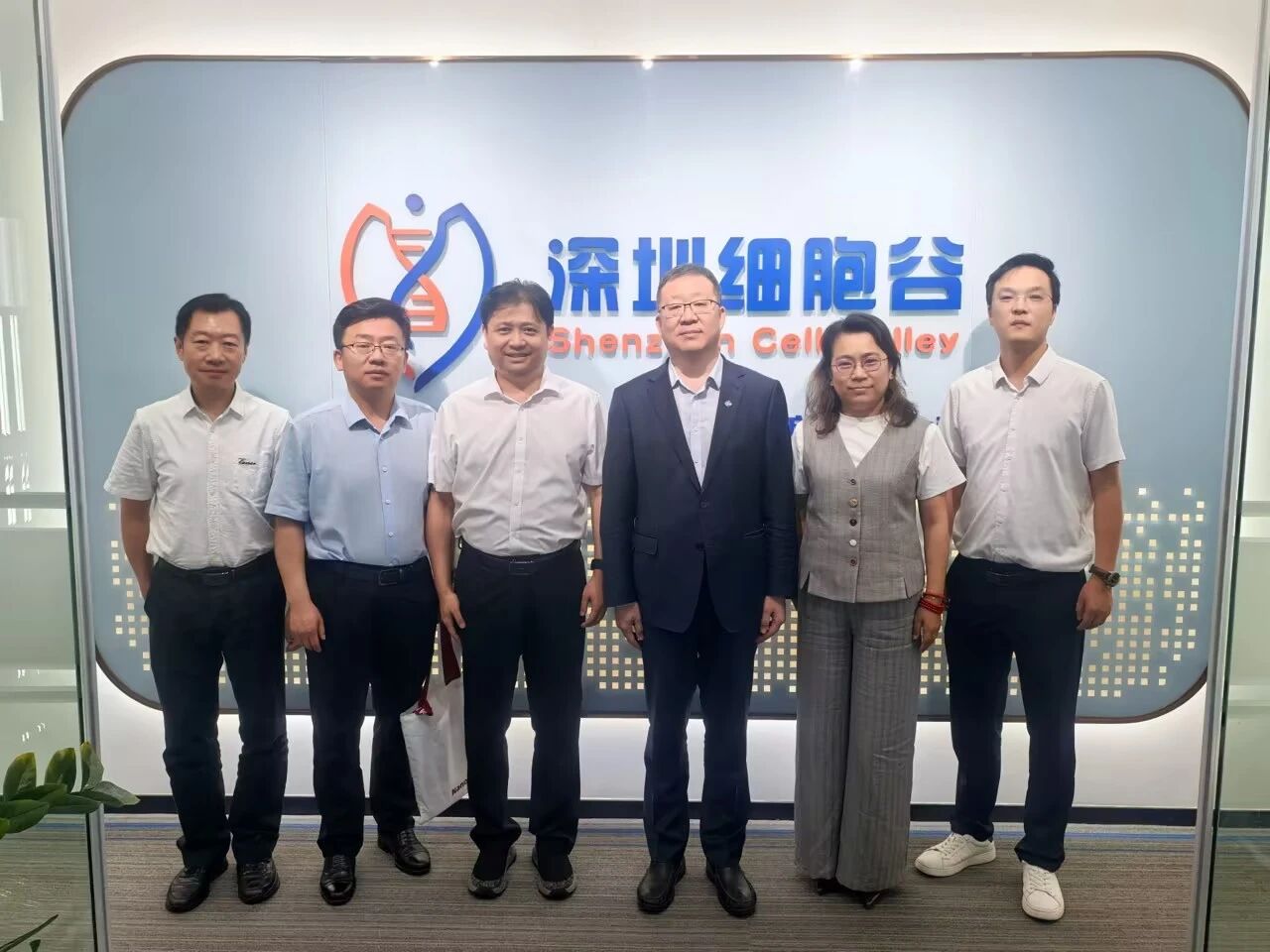 中国医药董事长杨光一行到访深圳DCBOX小金库官网考察研讨